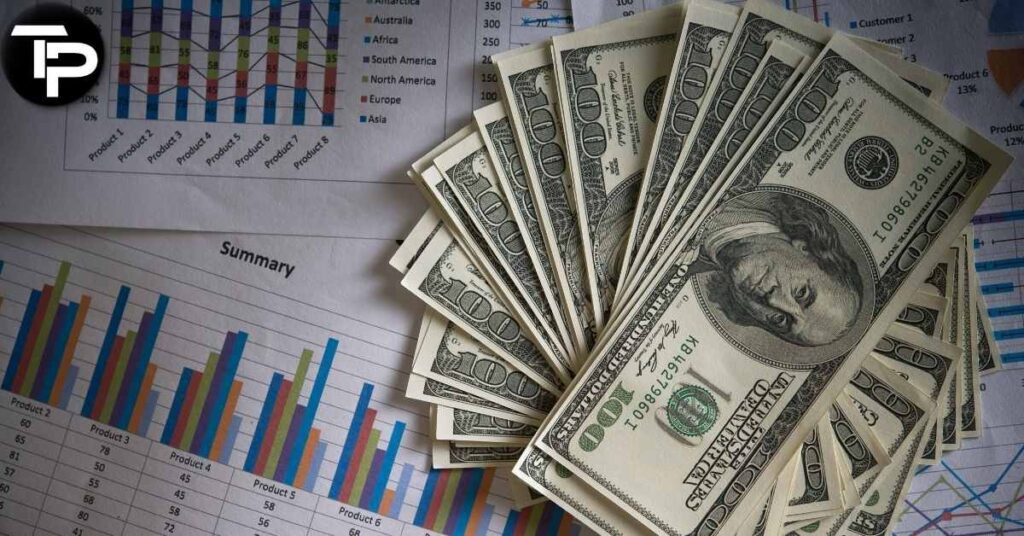 [what can a budget help you do