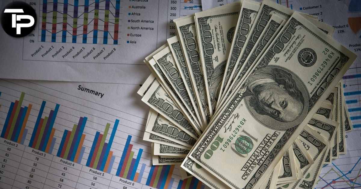 [what can a budget help you do