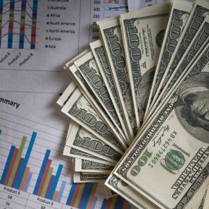 [what can a budget help you do